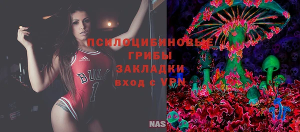 трава Куйбышев